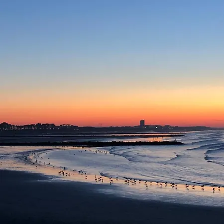 Chaika Zeedijk Apartmán Nieuwpoort